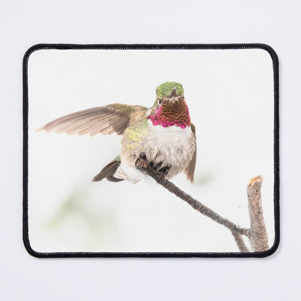 Item preview, Pointing Hummingbird designed and sold by Eivor Kuchta.