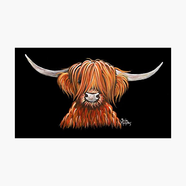 Scottish Hairy Highland Cow ' HARLEY 2 ' by Shirley MacArthur Photographic Print