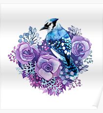 Blue Jay and Violet Flowers Watercolor Poster