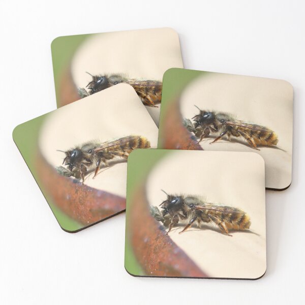 Item preview, Red mason bee collecting mud designed and sold by GreyFeatherPhot.