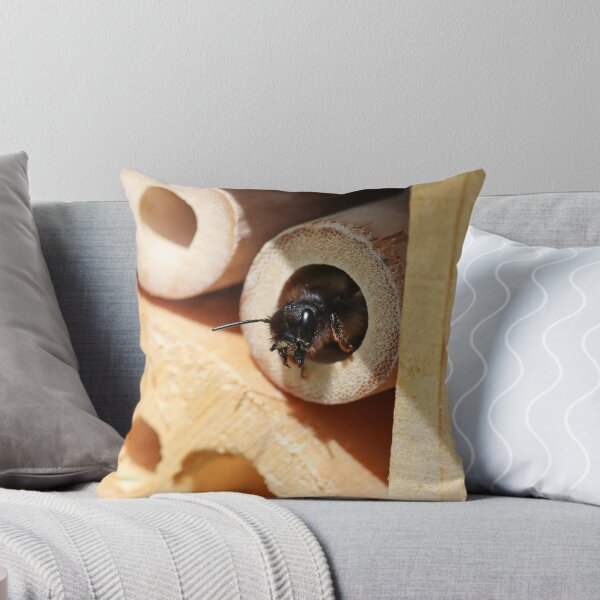 Item preview, Defending the nest site designed and sold by GreyFeatherPhot.