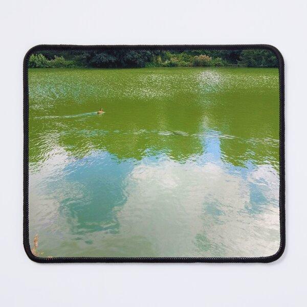 Item preview, #245 |☼| Open Water View, Featuring Duck Facing Right (Elsham Hall, Gardens & Country Park) designed and sold by Naean H.F. (Nez Man).