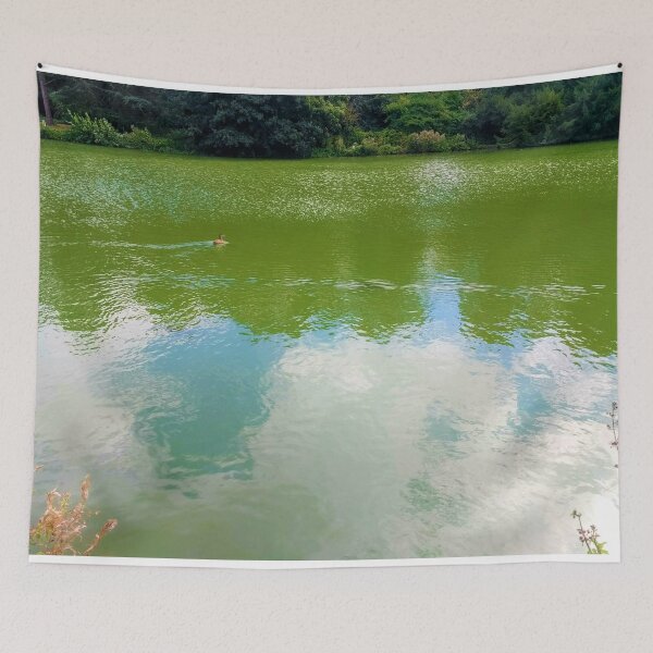 Item preview, #245 |☼| Open Water View, Featuring Duck Facing Right (Elsham Hall, Gardens & Country Park) designed and sold by Naean H.F. (Nez Man).