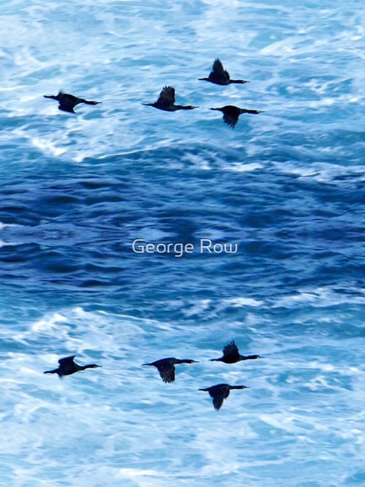 Cormorants Skimming the Waves off Inishmore by VeryIreland