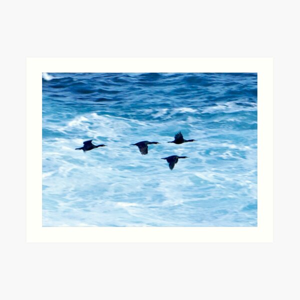 Cormorants Skimming the Waves off Inishmore Art Print