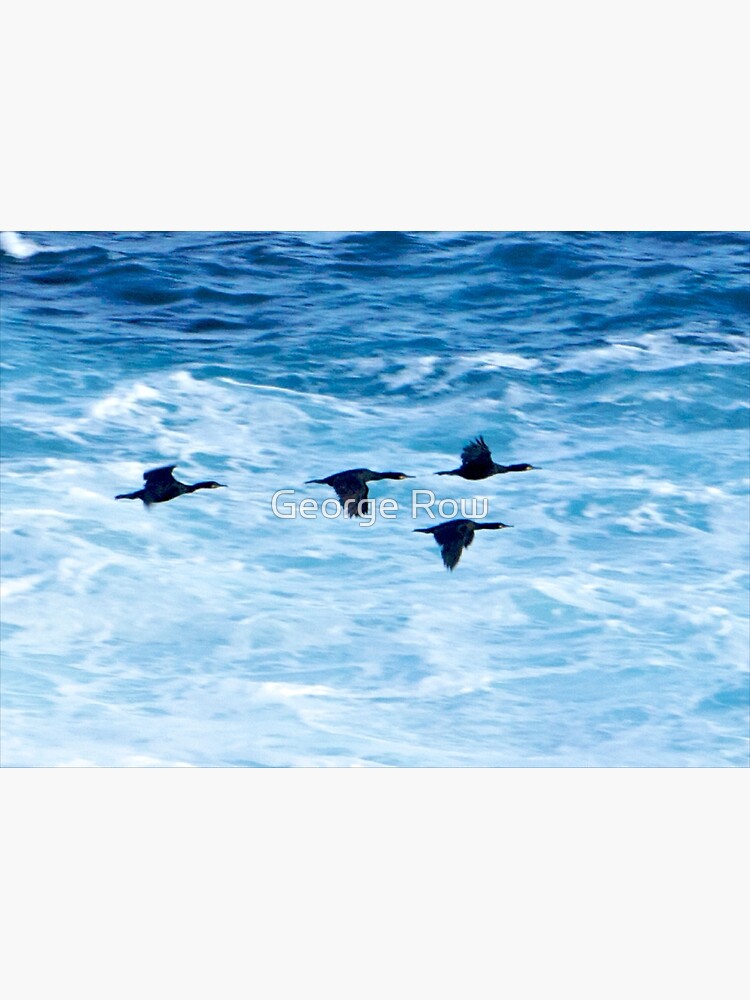 Cormorants Skimming the Waves off Inishmore by VeryIreland