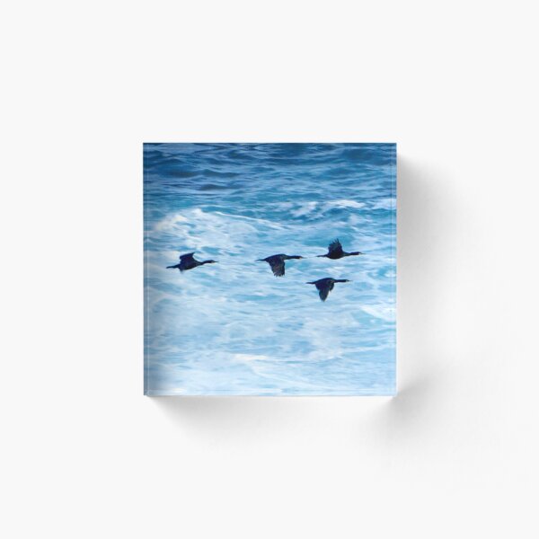 Cormorants Skimming the Waves off Inishmore Acrylic Block