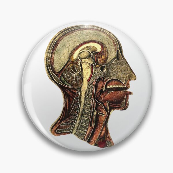 Item preview, Saggital head 1806 designed and sold by BelleZeare.