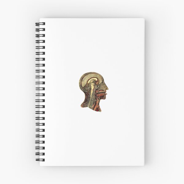 Item preview, Saggital head 1806 designed and sold by BelleZeare.