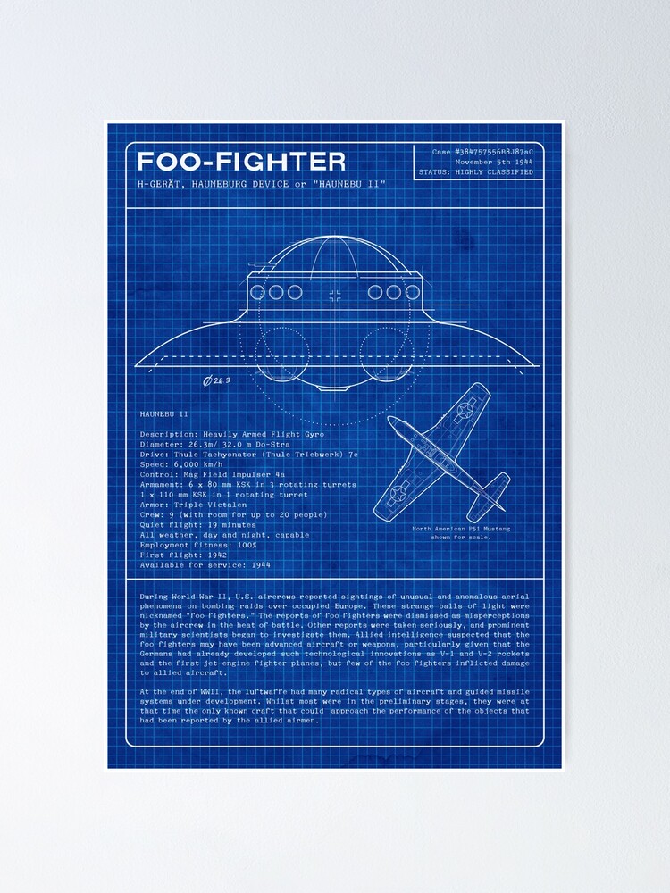 Foo Fighter Poster