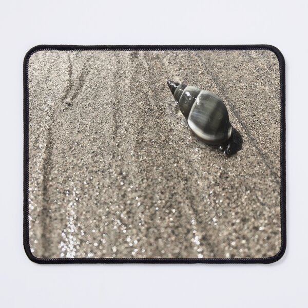 Item preview, shell designed and sold by amimages.