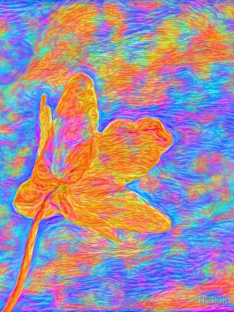Flower by blackhalt