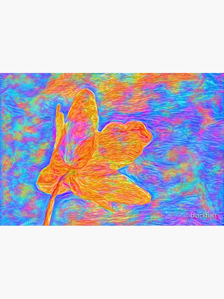 Flower by blackhalt