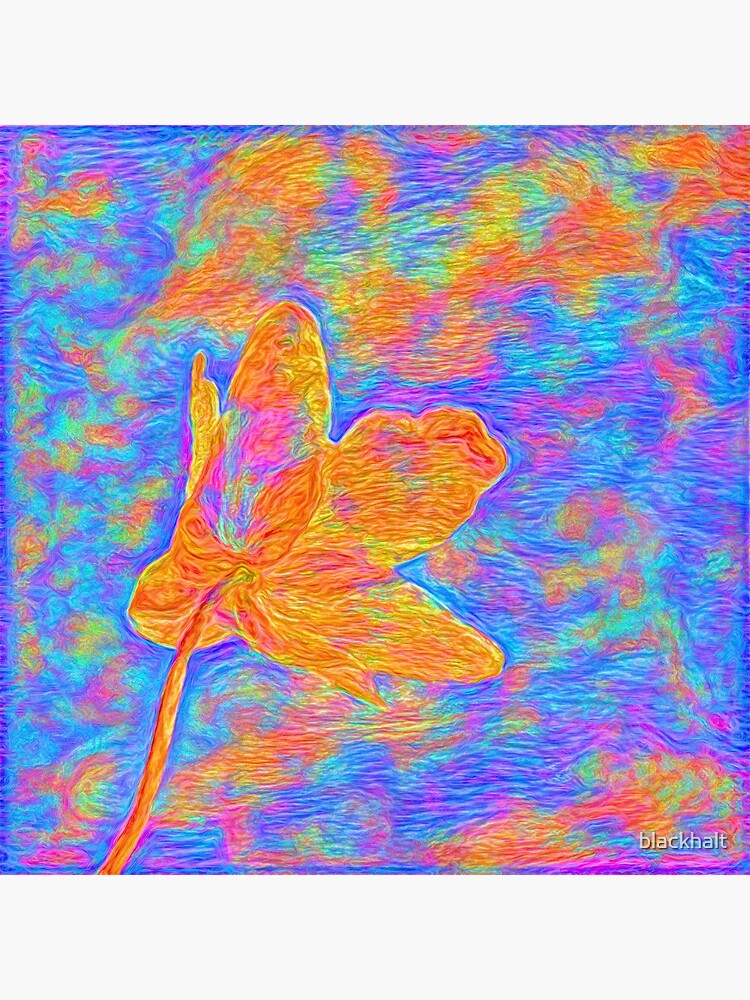Flower by blackhalt