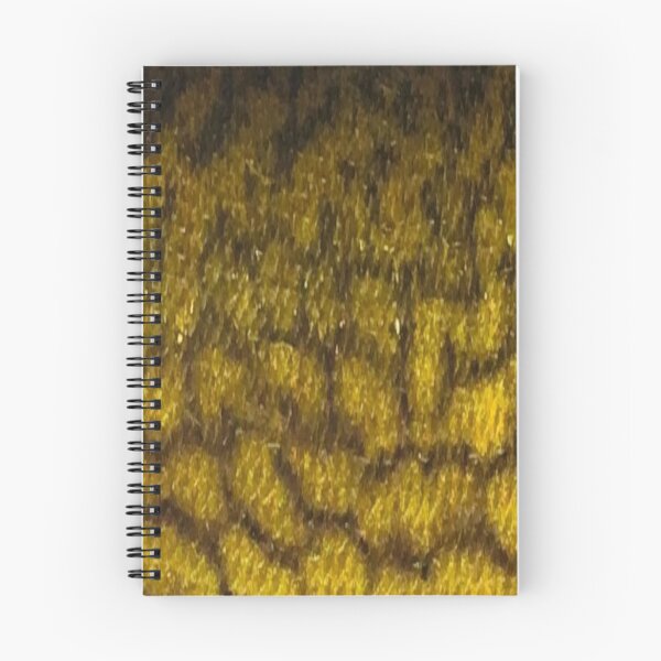 Item preview, Chain Pickerel Skin (Natural) Fish Scales Pattern  designed and sold by CJRPics.