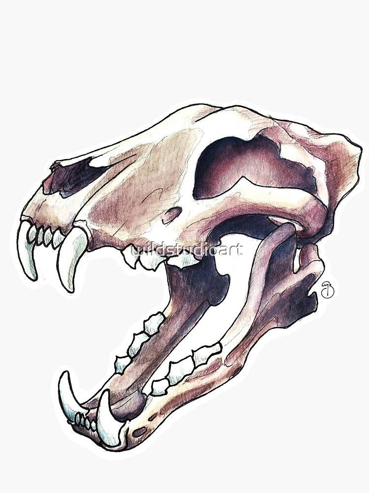 &ldquo;Grizzly Skull&rdquo; Sticker for Sale by wildstudioart | Redbubble