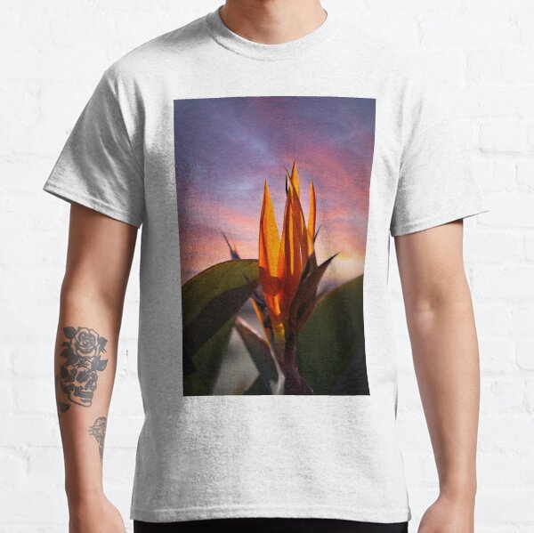 Bird of Paradise flower at sunset Classic T-Shirt