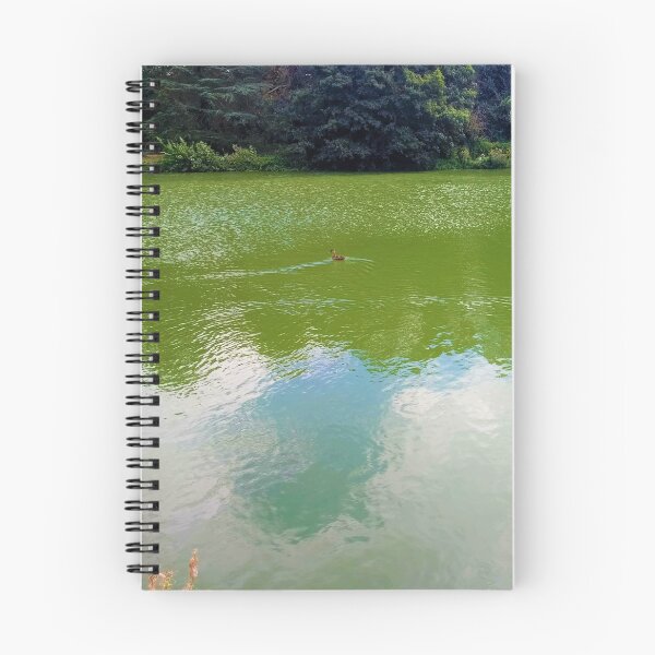 Item preview, #246 |☼| Open Water View, Featuring Duck Facing Left (Elsham Hall, Gardens & Country Park) designed and sold by Naean H.F. (Nez Man).