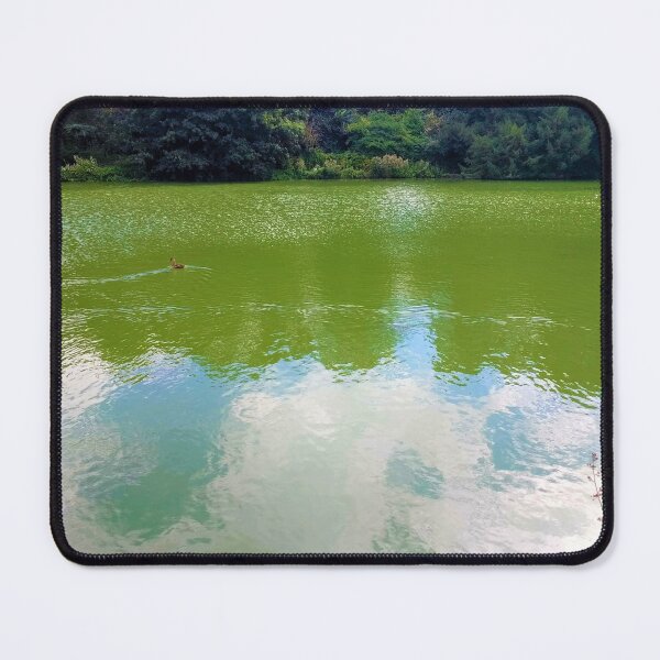 Item preview, #246 |☼| Open Water View, Featuring Duck Facing Left (Elsham Hall, Gardens & Country Park) designed and sold by Naean H.F. (Nez Man).