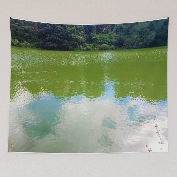 Item preview, #246 |☼| Open Water View, Featuring Duck Facing Left (Elsham Hall, Gardens & Country Park) designed and sold by Naean H.F. (Nez Man).