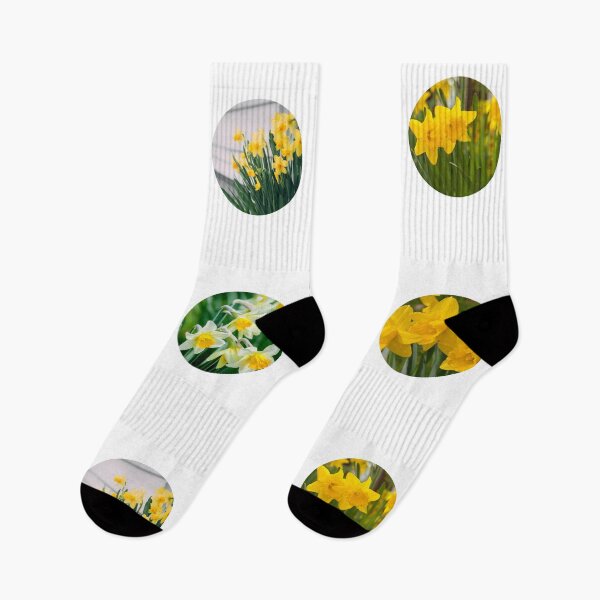 Item preview, Mixed Yellow Daffodil Spring Flowers designed and sold by silviaol.