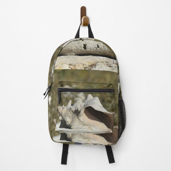Item preview, Ocean conk shell sitting on the beach with other fossils designed and sold by AlishaWatson.