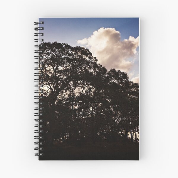 Item preview, Autumn 2017 at the Pinnacle (Canberra/ACT/Australia) (8) designed and sold by Wolf Sverak Photography.