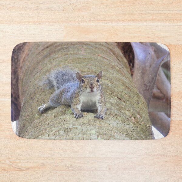 Item preview, Cute Squirrel #0006 designed and sold by Jeffrey Mask.