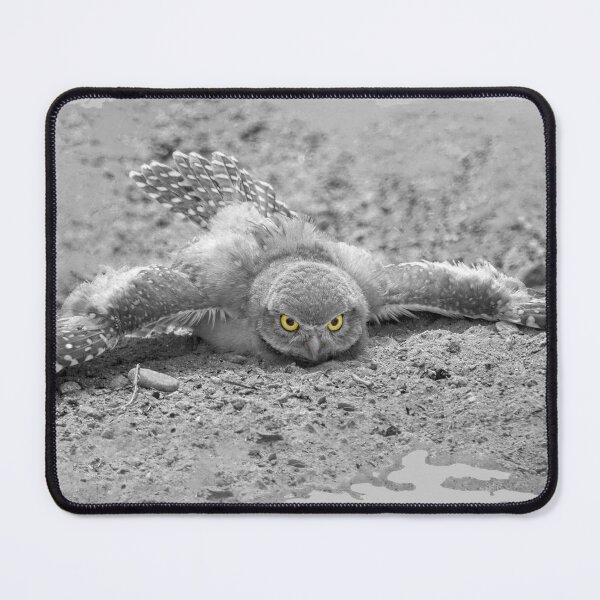 Item preview, Burrowing Owl Takes A Dust Bath designed and sold by CarolM.