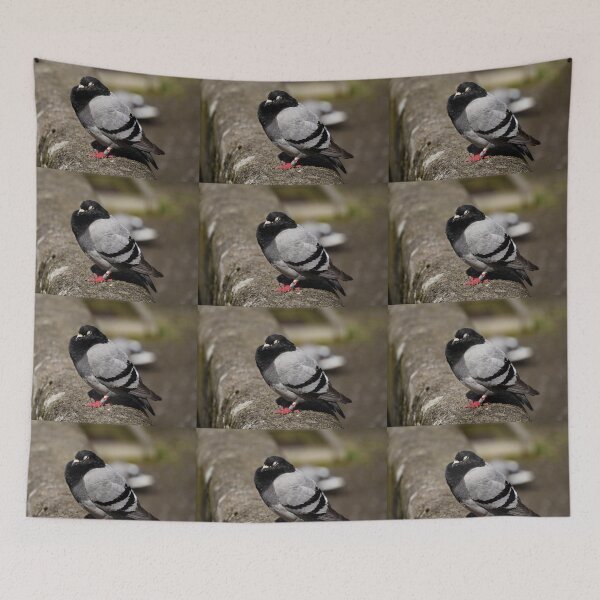 Item preview, Sleeping pigeon designed and sold by rainbowcho.