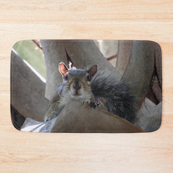 Item preview, Cute Squirrel #0008 designed and sold by Jeffrey Mask.