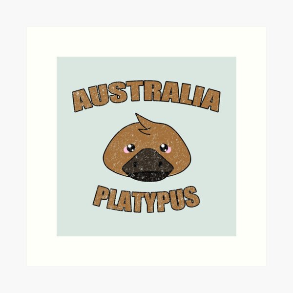 platypus rainbow vans