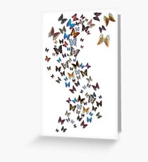 Kaleidoscope of Butterflies Greeting Card