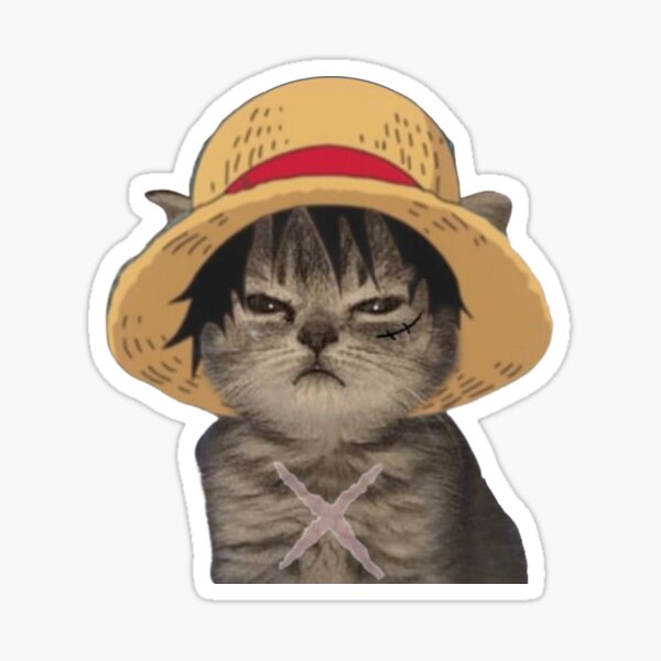 Bought this cat straw hat on , love it but my kitties were not  impressed lol : r/OnePiece