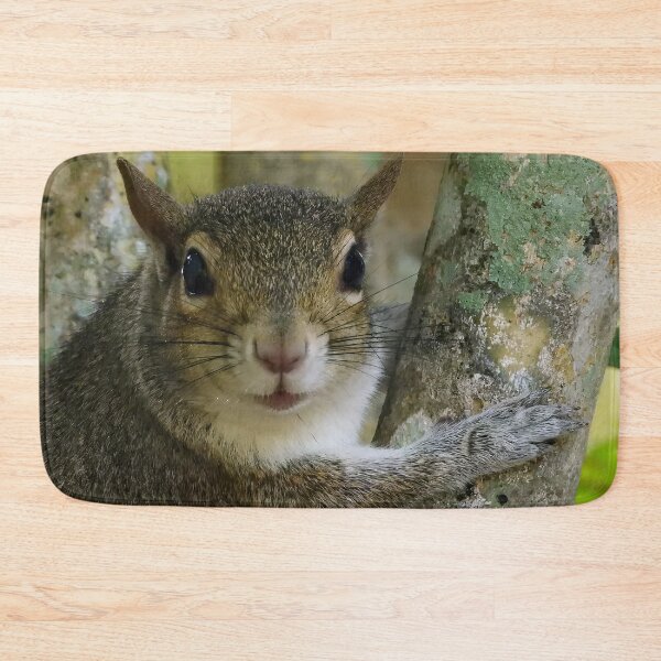 Item preview, Cute Squirrel #0012 designed and sold by Jeffrey Mask.