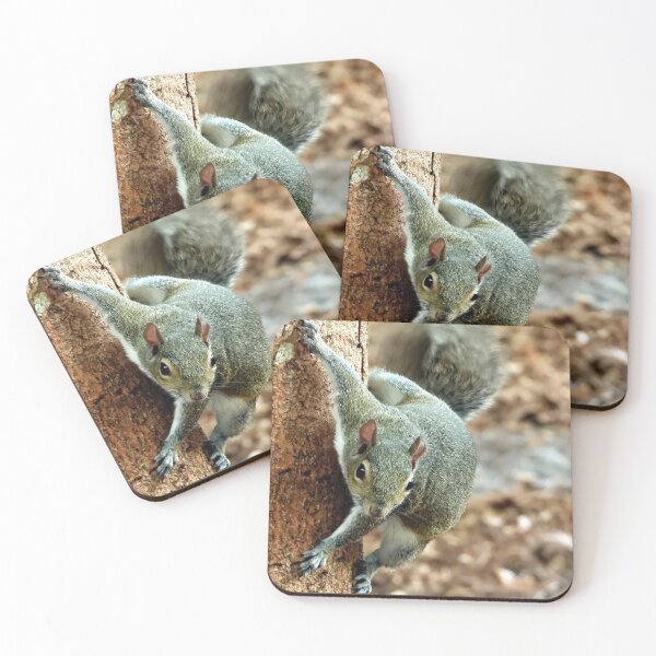 Item preview, Cute Squirrel #0013 designed and sold by Jeffrey Mask.