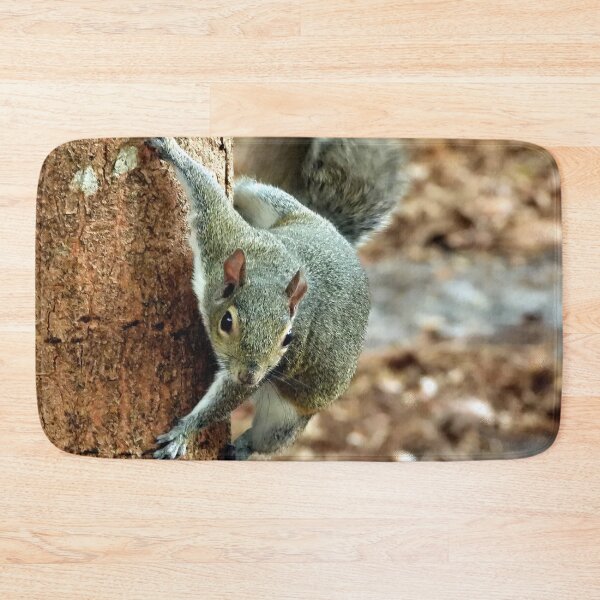 Item preview, Cute Squirrel #0013 designed and sold by Jeffrey Mask.