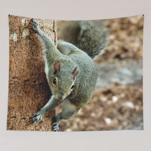Item preview, Cute Squirrel #0013 designed and sold by Jeffrey Mask.