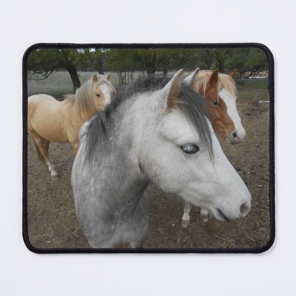 Item preview, 3 Ponies designed and sold by jarrahimages.
