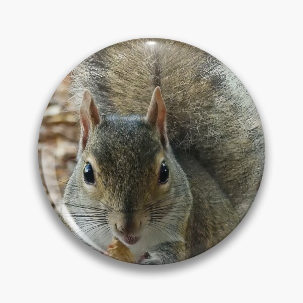 Item preview, Cute Squirrel #0014 designed and sold by Jeffrey Mask.