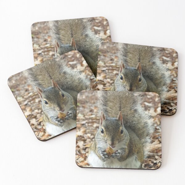 Item preview, Cute Squirrel #0014 designed and sold by Jeffrey Mask.
