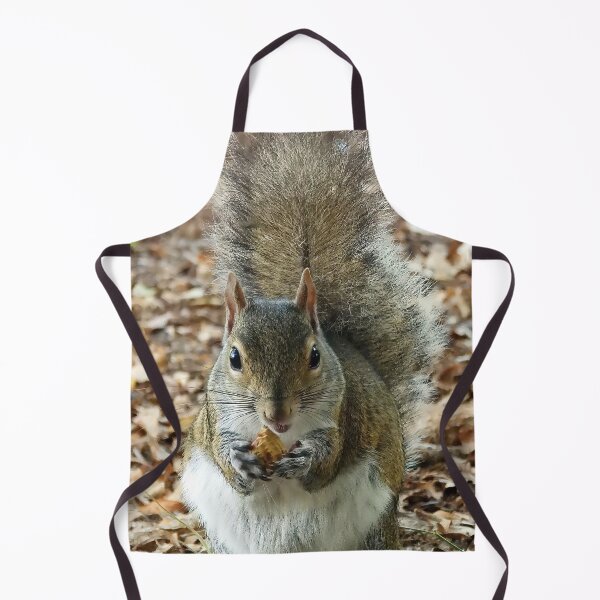 Item preview, Cute Squirrel #0014 designed and sold by Jeffrey Mask.