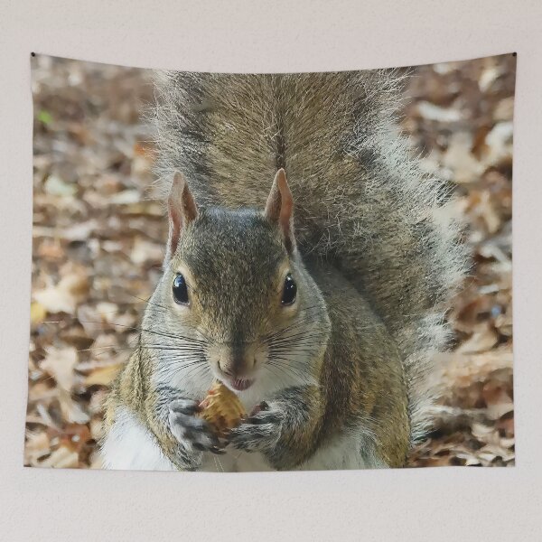 Item preview, Cute Squirrel #0014 designed and sold by Jeffrey Mask.