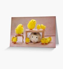 Rosie celebrates Easter :) Greeting Card