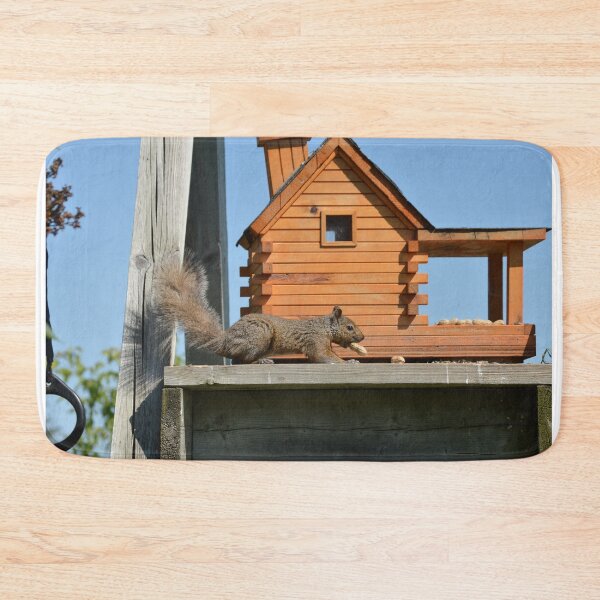 Item preview, Canadian Squirrel eating a peanut in front of a bird feeder on a children's swingset designed and sold by AlishaWatson.