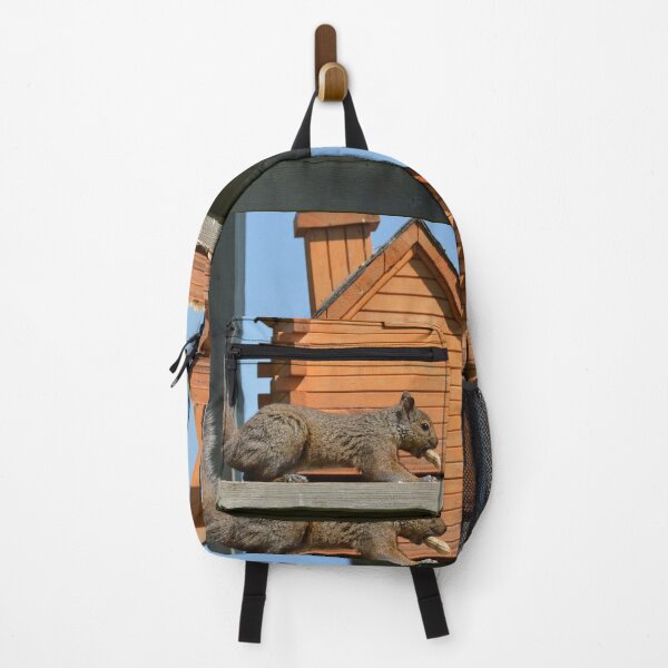Item preview, Canadian Squirrel eating a peanut in front of a bird feeder on a children's swingset designed and sold by AlishaWatson.