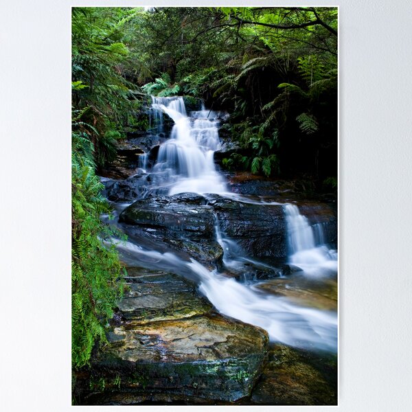 Item preview, Blue Mountains Attractions - The Leura Cascades designed and sold by Gayle Shaw.