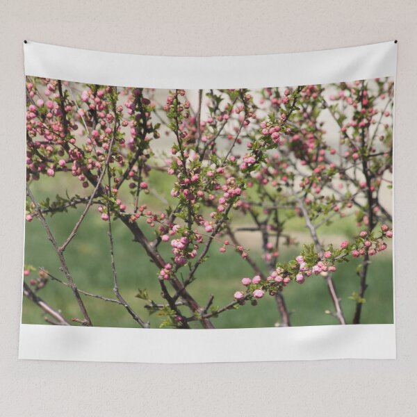 Item preview, Pink popcorn bush designed and sold by stephenralph.