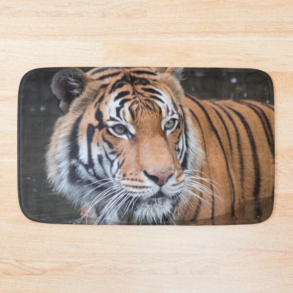 Item preview, Cat Bath designed and sold by Jacquelie.