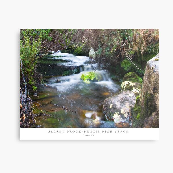 Secret Brook - Tasmania Metal Print